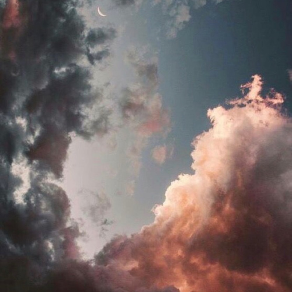 Meet your Posher, Bella